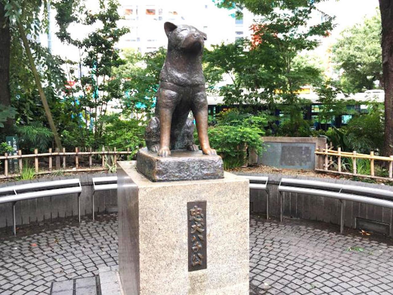 Shibuya Anon #a202 Tóquio